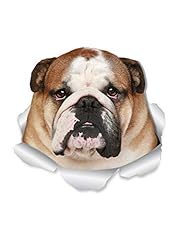 Winston bear funny for sale  Delivered anywhere in USA 