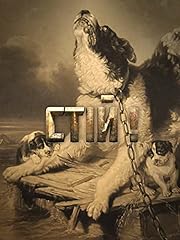 Ctin d'occasion  Livré partout en France