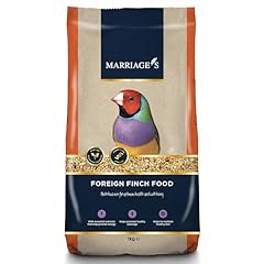 Marriages foreign finch for sale  Delivered anywhere in UK