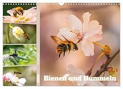 Bienen hummeln aktion gebraucht kaufen  Wird an jeden Ort in Deutschland