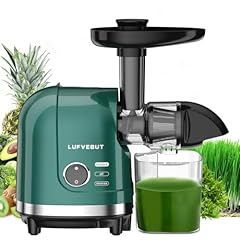 Vegetable juicer celery for sale  Delivered anywhere in USA 