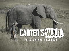 Carter w. .r. for sale  Delivered anywhere in USA 