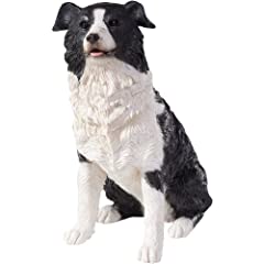 Sandicast border collie for sale  Delivered anywhere in USA 