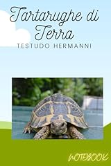 Tartarughe terra testudo usato  Spedito ovunque in Italia 