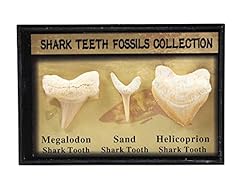 Set authentic prehistoric for sale  Delivered anywhere in USA 