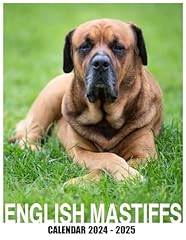 English mastiffs calendar for sale  Delivered anywhere in UK