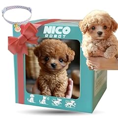 2025 new nicoo for sale  Delivered anywhere in USA 