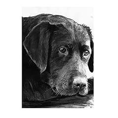 Labrador wall art for sale  Delivered anywhere in USA 