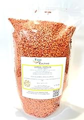 Grano farro grano usato  Spedito ovunque in Italia 