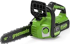 Greenworks gd24cs30 motosega usato  Spedito ovunque in Italia 