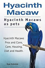 Hyacinth macaw. hyacinth usato  Spedito ovunque in Italia 