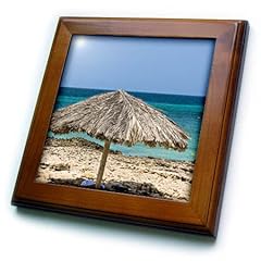 3drose 8x8 framed for sale  Delivered anywhere in USA 