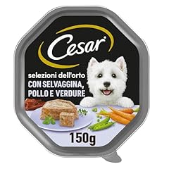 Cesar selezione dell usato  Spedito ovunque in Italia 