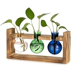 Glasseam glass propagation for sale  Delivered anywhere in UK