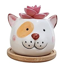 Cuteforyou succulent pots for sale  Delivered anywhere in USA 