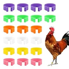 20pcs chicken leg for sale  Delivered anywhere in UK