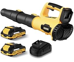 Leaf blower 21v for sale  Delivered anywhere in USA 