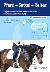 Pferd sattel reiter gebraucht kaufen  Wird an jeden Ort in Deutschland