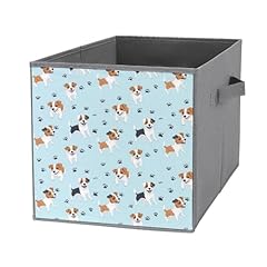 Jack russell terrier for sale  Delivered anywhere in UK