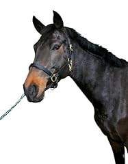 Pferdehalfter leder warmblut gebraucht kaufen  Wird an jeden Ort in Deutschland