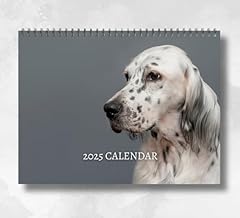 English setter calendar for sale  Delivered anywhere in UK