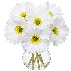 Briful gerbera daisy for sale  Delivered anywhere in USA 