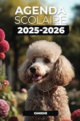 Agenda scolaire 2025 d'occasion  Livré partout en France