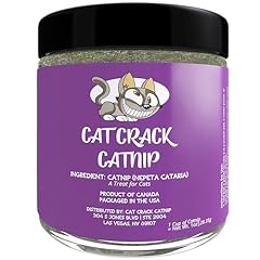 Cat crack catnip for sale  Delivered anywhere in USA 