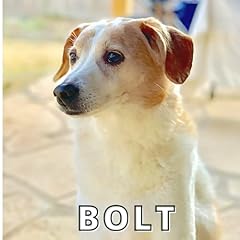 Bolt for sale  Delivered anywhere in UK