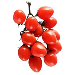 Deko cherry tomaten gebraucht kaufen  Wird an jeden Ort in Deutschland