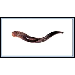 New yemenite shofar for sale  Delivered anywhere in UK