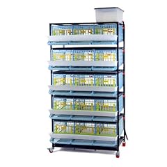 Jumbo quail breeding for sale  Delivered anywhere in USA 