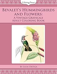 Bevalet hummingbirds flowers for sale  Delivered anywhere in USA 