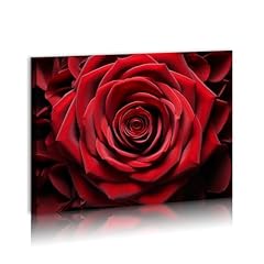 Red rose close for sale  Delivered anywhere in USA 