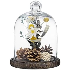 Mygift clear cloche for sale  Delivered anywhere in USA 