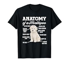Maltipoo anatomy maltipoo for sale  Delivered anywhere in USA 