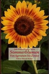 Sommerblumen ageratum zinnie gebraucht kaufen  Wird an jeden Ort in Deutschland