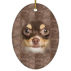 White brown chihuahua for sale  Delivered anywhere in USA 