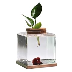 Desktop betta fish for sale  Delivered anywhere in USA 
