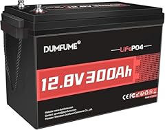 Dumfume 12v 300ah for sale  Delivered anywhere in USA 