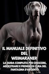 Manuale definitivo del usato  Spedito ovunque in Italia 