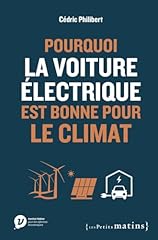 Voiture électrique bonne d'occasion  Livré partout en Belgiqu