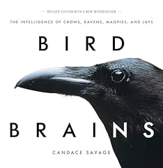 Bird brains intelligence for sale  Delivered anywhere in UK