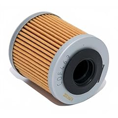 Champion lfilter aprilia usato  Spedito ovunque in Italia 