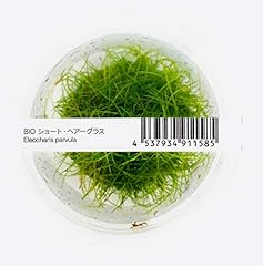 027 ada tissue for sale  Delivered anywhere in USA 