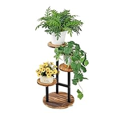 Vecelo tier plant for sale  Delivered anywhere in USA 