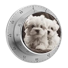 Timer meccanico cucina usato  Spedito ovunque in Italia 