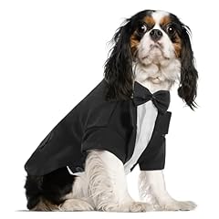Queenmore dog tuxedo for sale  Delivered anywhere in USA 
