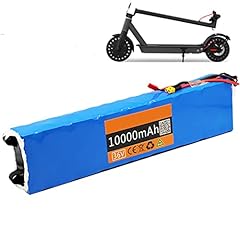 Otriek 36v scooter for sale  Delivered anywhere in USA 