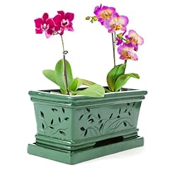 Tbpro 10inch orchid for sale  Delivered anywhere in USA 